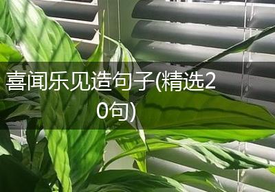 喜闻乐见造句子(精选20句)
