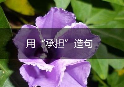 用“承担”造句