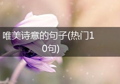 唯美诗意的句子(热门10句)