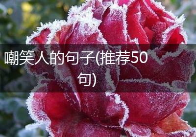 嘲笑人的句子(推荐50句)