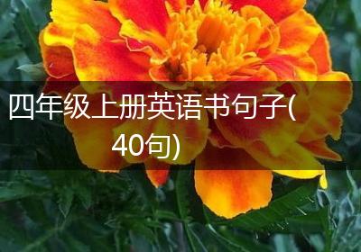 四年级上册英语书句子(40句)