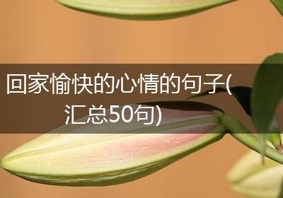 回家愉快的心情的句子(汇总50句)