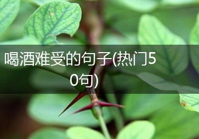 喝酒难受的句子(热门50句)