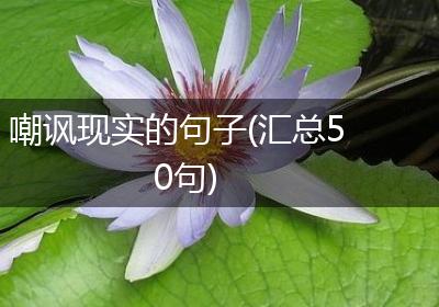 嘲讽现实的句子(汇总50句)