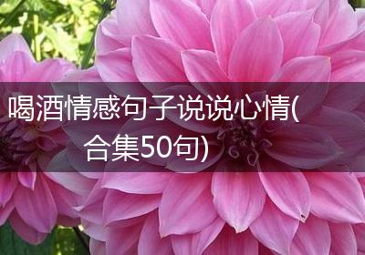 喝酒情感句子说说心情(合集50句)