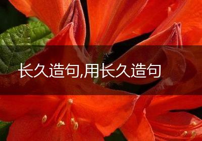 长久造句,用长久造句