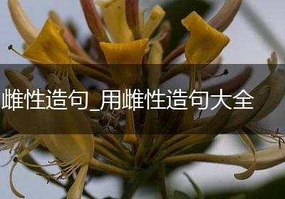 雌性造句_用雌性造句大全