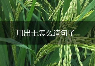 用出击怎么造句子