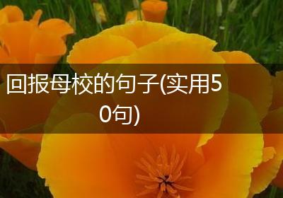 回报母校的句子(实用50句)