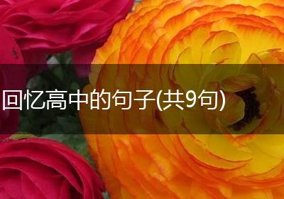 回忆高中的句子(共9句)