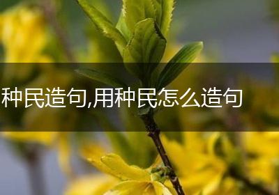 种民造句,用种民怎么造句