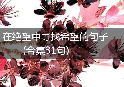在绝望中寻找希望的句子(合集31句)