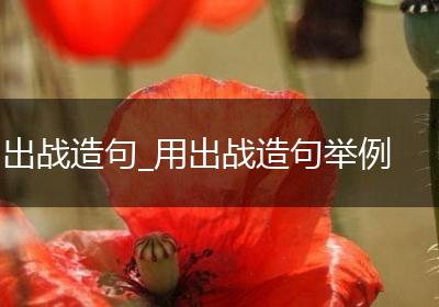 出战造句_用出战造句举例