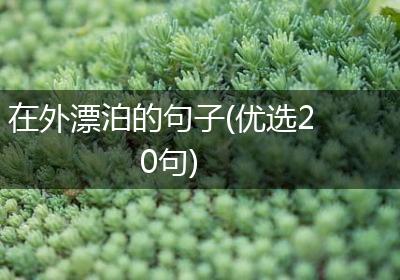 在外漂泊的句子(优选20句)