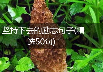 坚持下去的励志句子(精选50句)
