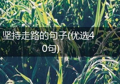 坚持走路的句子(优选40句)
