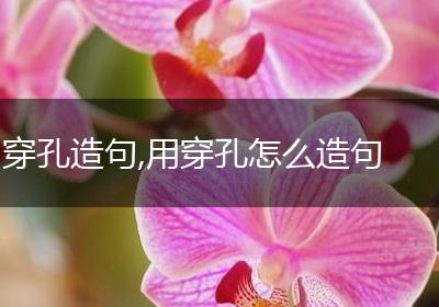 穿孔造句,用穿孔怎么造句