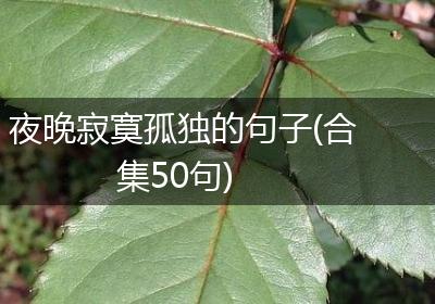 夜晚寂寞孤独的句子(合集50句)