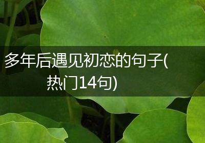 多年后遇见初恋的句子(热门14句)