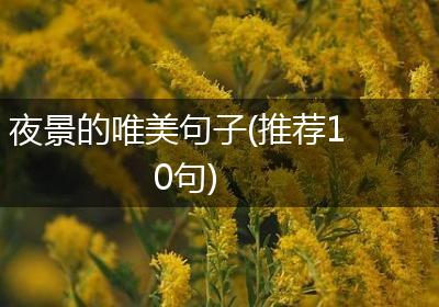夜景的唯美句子(推荐10句)