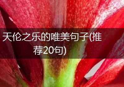天伦之乐的唯美句子(推荐20句)