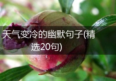 天气变冷的幽默句子(精选20句)