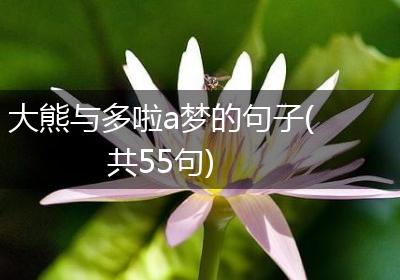大熊与多啦a梦的句子(共55句)
