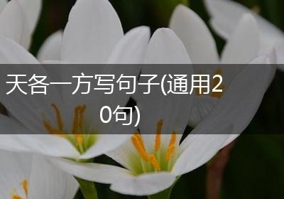 天各一方写句子(通用20句)