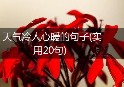 天气冷人心暖的句子(实用20句)