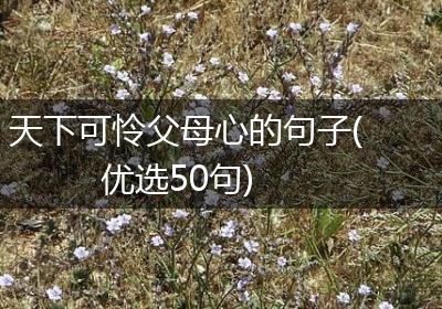 天下可怜父母心的句子(优选50句)