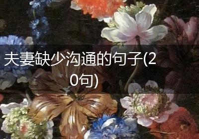 夫妻缺少沟通的句子(20句)