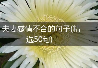 夫妻感情不合的句子(精选50句)