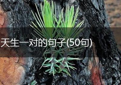 天生一对的句子(50句)
