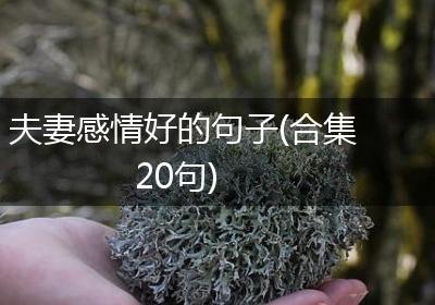夫妻感情好的句子(合集20句)