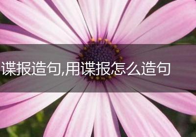 谍报造句,用谍报怎么造句
