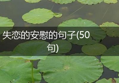 失恋的安慰的句子(50句)