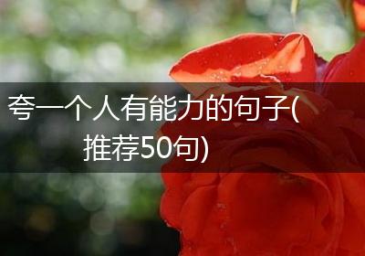 夸一个人有能力的句子(推荐50句)