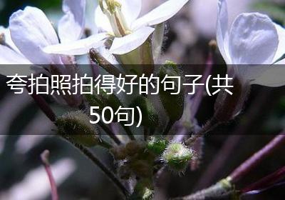 夸拍照拍得好的句子(共50句)