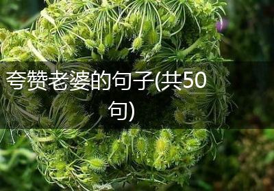 夸赞老婆的句子(共50句)