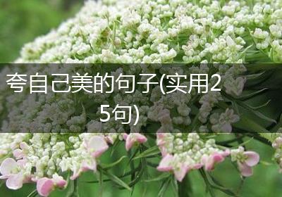 夸自己美的句子(实用25句)