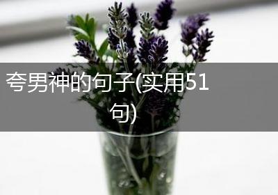 夸男神的句子(实用51句)