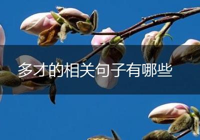 多才的相关句子有哪些