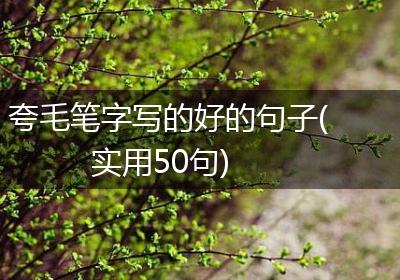 夸毛笔字写的好的句子(实用50句)