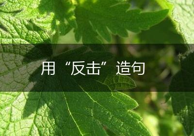 用“反击”造句