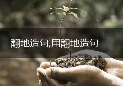 翻地造句,用翻地造句