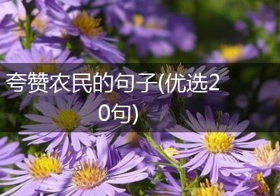 夸赞农民的句子(优选20句)
