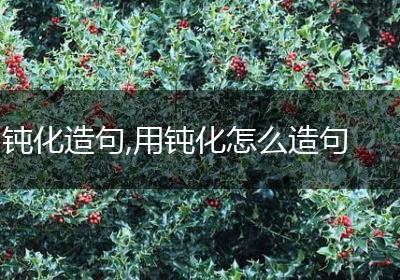 钝化造句,用钝化怎么造句