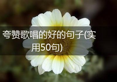 夸赞歌唱的好的句子(实用50句)