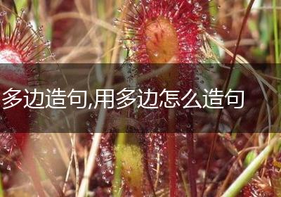 多边造句,用多边怎么造句