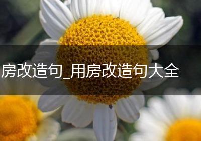 房改造句_用房改造句大全